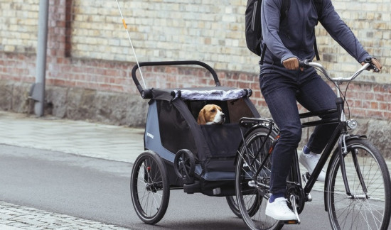 Thule Courier